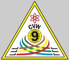 CVW-9 squadron insignias